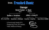 Crushed Runtz - The Cannabis Brothers