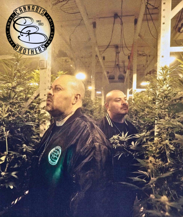 The Cannabis Brothers